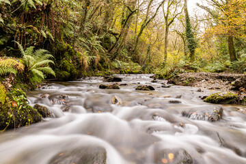 A tranquil woodland stream, with water flowing over rocks on a cold November day.  Signs of Autumn are seen in the trees.
