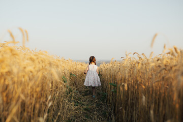 Back view of running little happy girl in the middle of the wheat field in the sunny day.