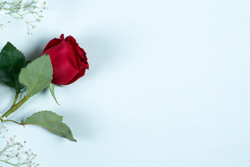 Rosa roja sobre fondo de madera azul laurel, día de la madre, día de los enamorados, Sant Jordi