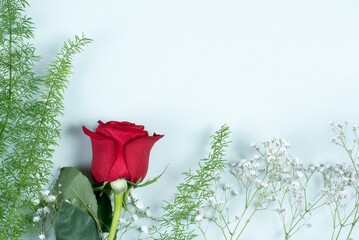 Rosa roja sobre fondo de madera azul laurel, día de la madre, día de los enamorados, Sant Jordi
