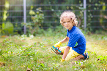 Child pulling weeds in summer garden.