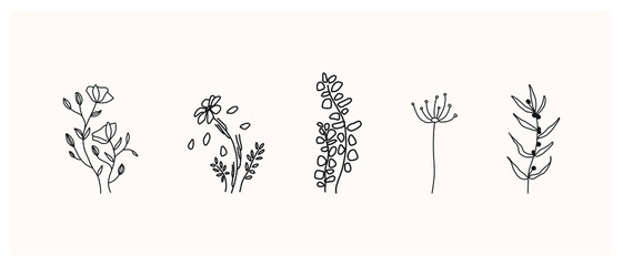 Fototapeta na wymiar Set of herbs and wild flowers. Hand drawn floral elements. Vector illustration