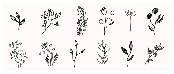 Set of herbs and wild flowers. Hand drawn floral elements. Vector illustration