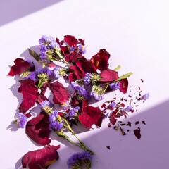 Dried purple flowers and red rose petals on the purple background