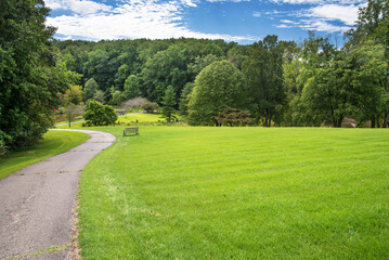 Obraz premium walking path along the green lawn in park on summer day.