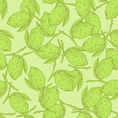 Seamless pattern lemon on branch with leaves engraving. Vintage background of citrus fruits in hand drawn style.