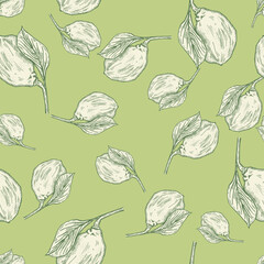 Seamless pattern engraved lemon on branch with leaves. Vintage background lime growing on twig in hand drawn style.