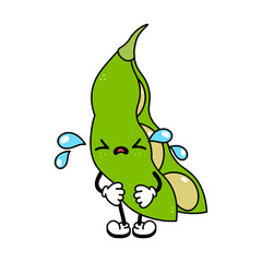 Cute funny crying sad beans character. Vector hand drawn traditional cartoon vintage, retro, kawaii character illustration icon. Isolated on white background. Cry beans character concept