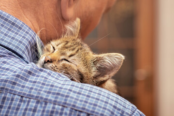 The man holds a small kitten in his arms and hugs him