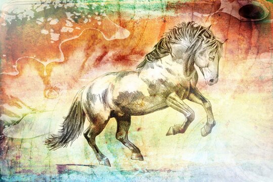 Colorful horse art illustration grunge painting drawing