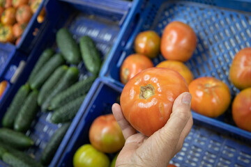 Caucasian customer picking a red tomato as an ingredient to make a salad for her family