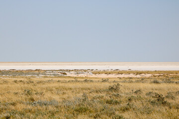 Fototapeta na wymiar Etosha salt pan, Etosha National Park, Namibia