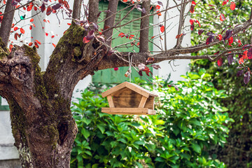 Fototapeta na wymiar Bird house on tree