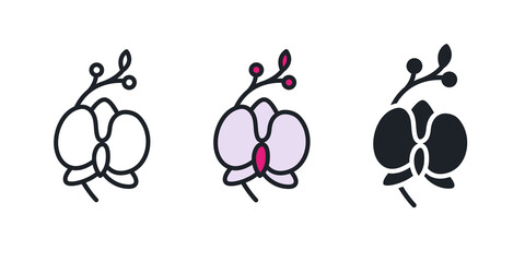 Orchid icon. Home flowers isolated vector icon. Home gardening