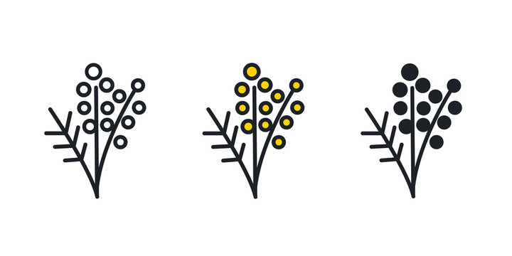 Mimosa Icon. Spring Flowers Isolated Vector Icons