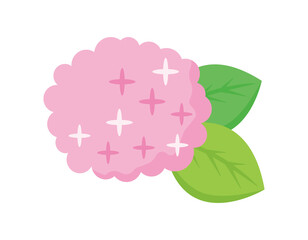 紫陽花　ベクターイラスト