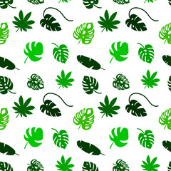 Tropical jungle seamless pattern. Minimal style with monstera and palm leaves. Vector stock illustration