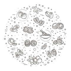 Illustration - nuts and beans. Banner