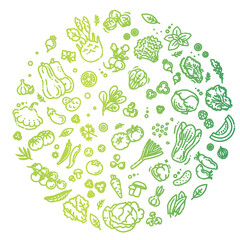 Vegetables doodle drawing illustration