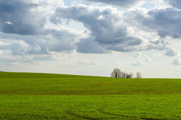 field and blue sky