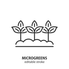 Microgreens line icon. Sprouts microgreen in a soil vector symbol. Growing greens for food. Editable stroke.