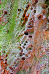 felsstrukturen im Elbsandsteingebirge