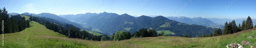 Wall mural Panorama vom Alpwegkopf in Vorarlberg