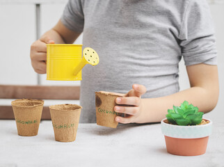 A little caucasian girl with a gray turtleneck holds a yellow watering can with her hands and waters cardboard glasses