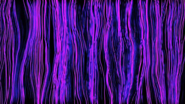 Black background.Design.The bright purple and red lines in the animation are thin in size and fluctuate across the background.