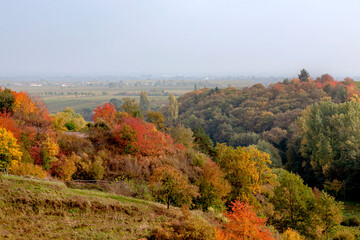 Fototapeta premium Herbstliche Landschaft, Pfalz