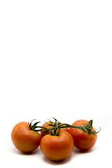 Racimo de tomates ecologicos recien cosechados en fondo blanco