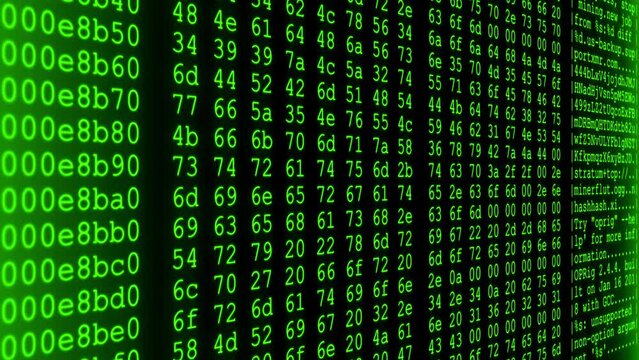 A close-up view of random computerized digits and lower-case letters scrolling continuously on a screen, in green color - seamless looping.