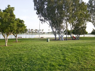Green Beautiful View of Menachem Begin, Darom Park, Tel-Aviv, Israel