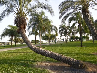 Lake View In Menachem Begin, Darom Park, Tel-Aviv, Israel