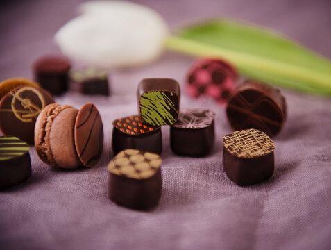 Assorted gourmet chocolates