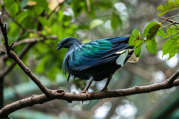 Bird on a tree branch