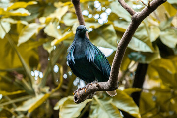 Bird on a tree branch