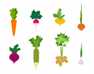 Collection of vegetables in cartoon style. Design elements for gardening, harvesting, planting seeds. Good for menus, kitchen utensils and more. Vector illustration isolated
