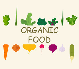 Organic food. Frame with fresh vegetables. Gardening or farming concept. Design for flyer template, logo, print, packaging, card. Flat vector illustration. Ideal for spring or autumn banner and poster