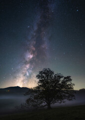 Milky way galaxy rising up over oak tree and foggy valley in the Blue Ridge Mountains of North Carolina