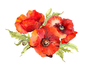 Red poppy flowers bouquet. Watercolor floral illustration