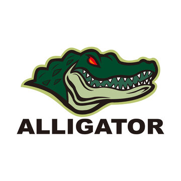 Green Alligator logo icon vector