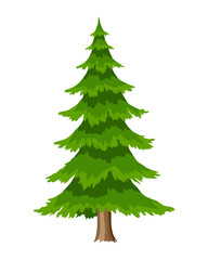 Tree. Eco concept of nature plant. Vector flat spruce evergreen coniferous tree icon isolated on white background. Garden botanical element
