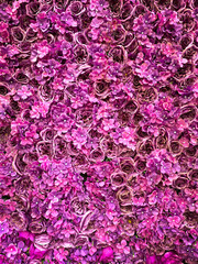 Fototapeta premium Full frame flowers 