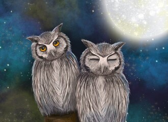 Owls © Julia