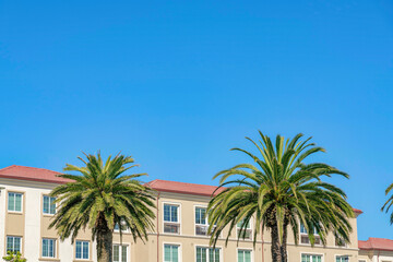 Fototapeta premium Two palm trees at the front of a residential building in San Francisco, California
