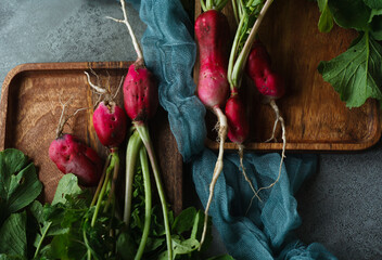 Two bunches of red radish damaged by slugs and disease, organic vegetables concept, ugly vegetables