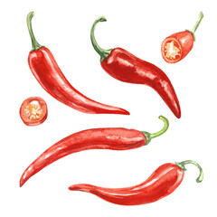 Red Chilli pepper watercolor set. Hot peppers. High quality photo