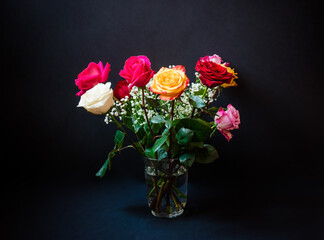 Roses in vase on dark background