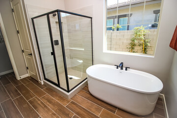 Master Bathroom Oblong Bath Tub And Glass Shower